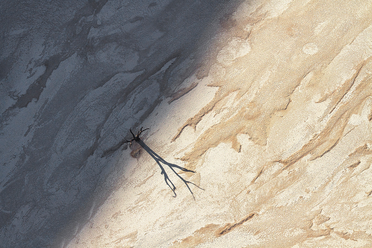 Dune Shadow by Jay Roode