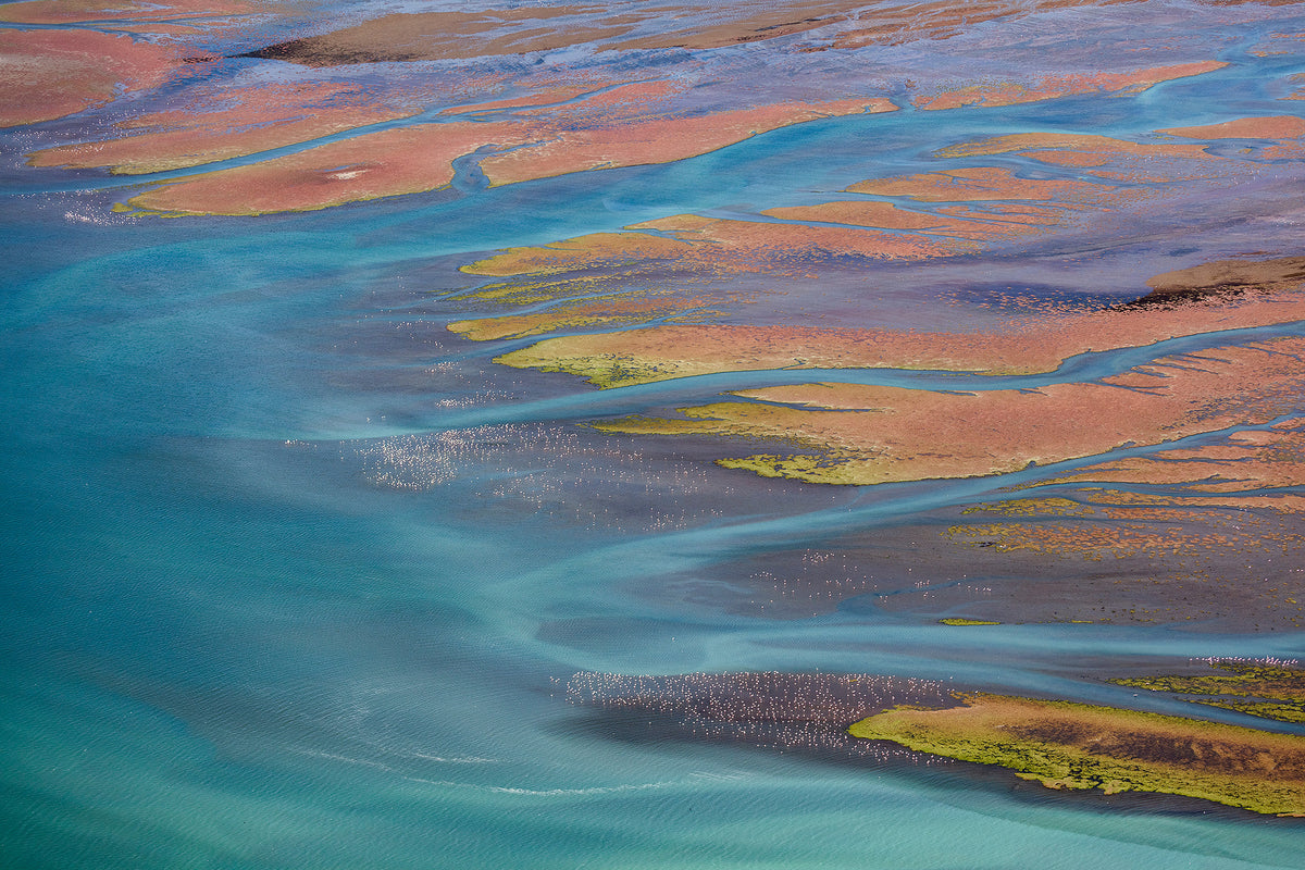 The Color of Salt by Jay Roode