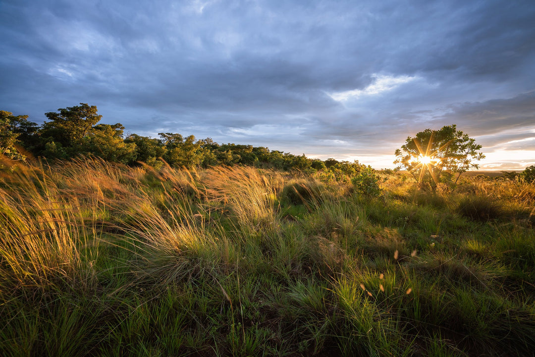 Does the NISI 15mm f4 deserve a place in your kit?