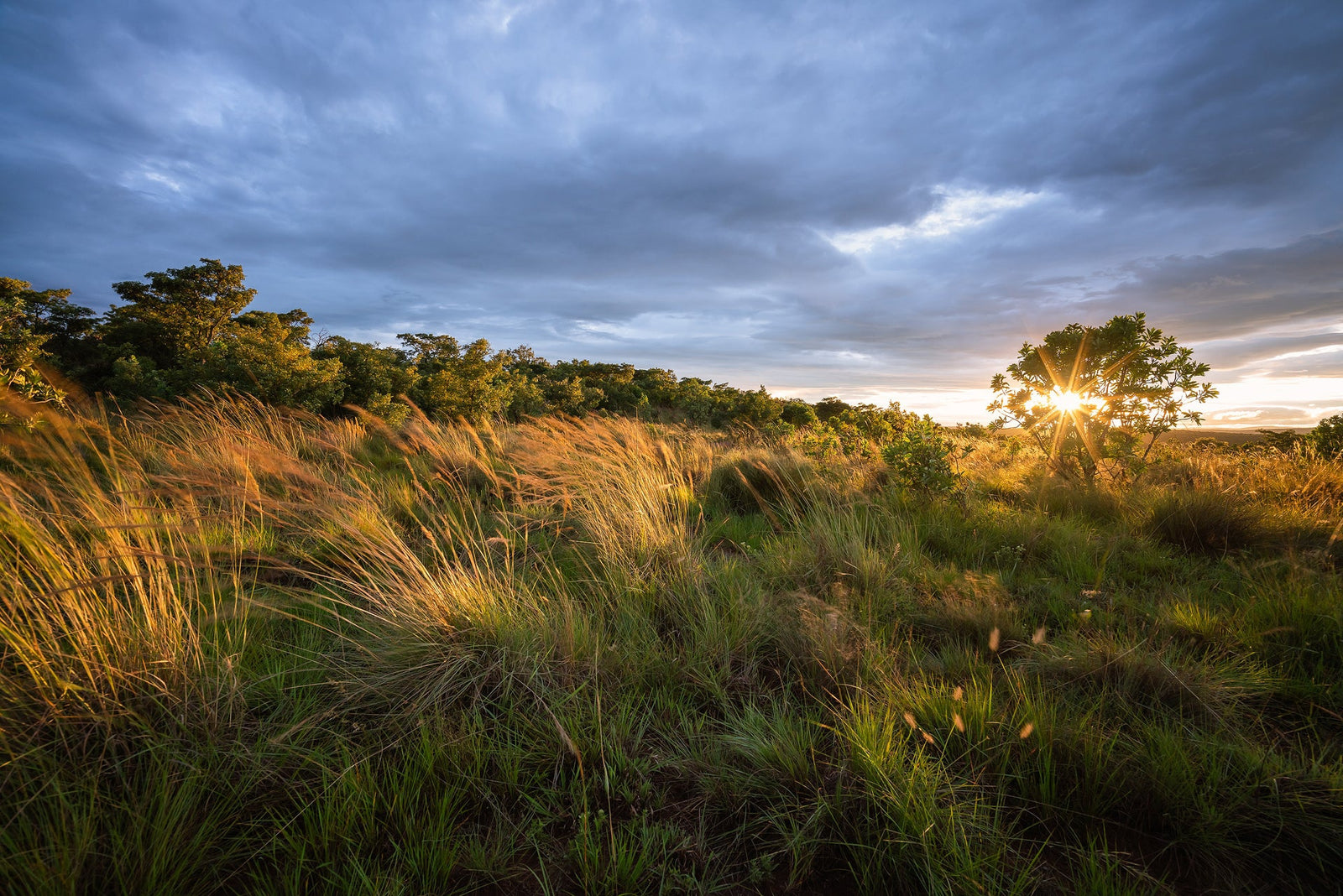 Does the NISI 15mm f4 deserve a place in your kit?