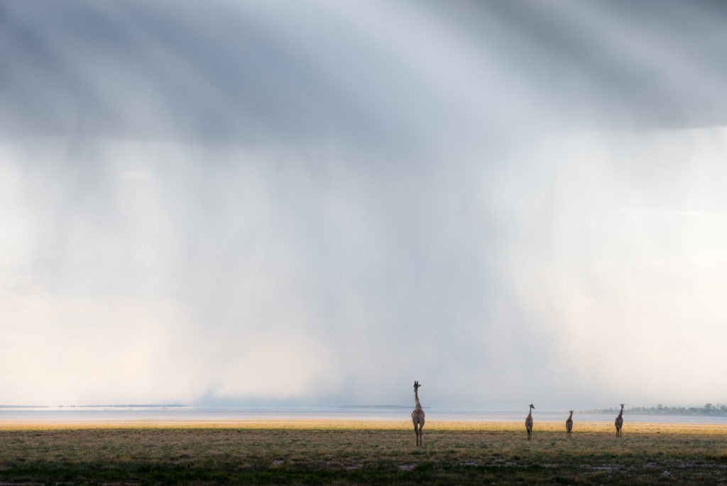 NISI Filters Competition Winners