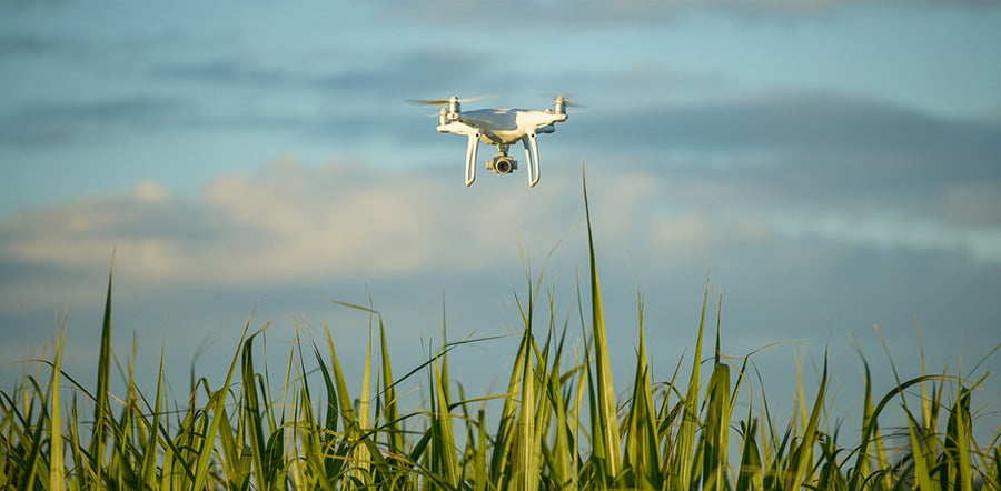 Phantom 4 Pro Review – Unscientific impressions by stills photographer Emil von Maltitz