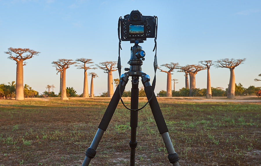 “The Beast Miniaturised”, A Review of the SIRUI R-2214X