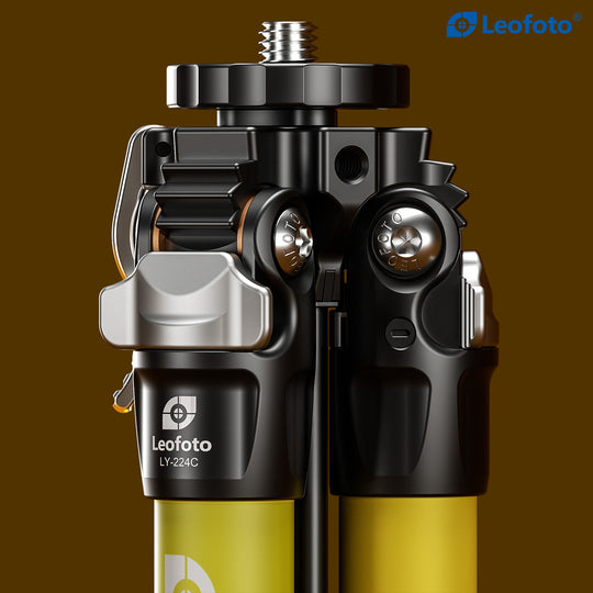 Leofoto LY-224C + LH-25 Carbon Fiber Tripod Kit