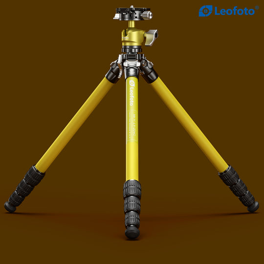Leofoto LY-224C + LH-25 Carbon Fiber Tripod Kit