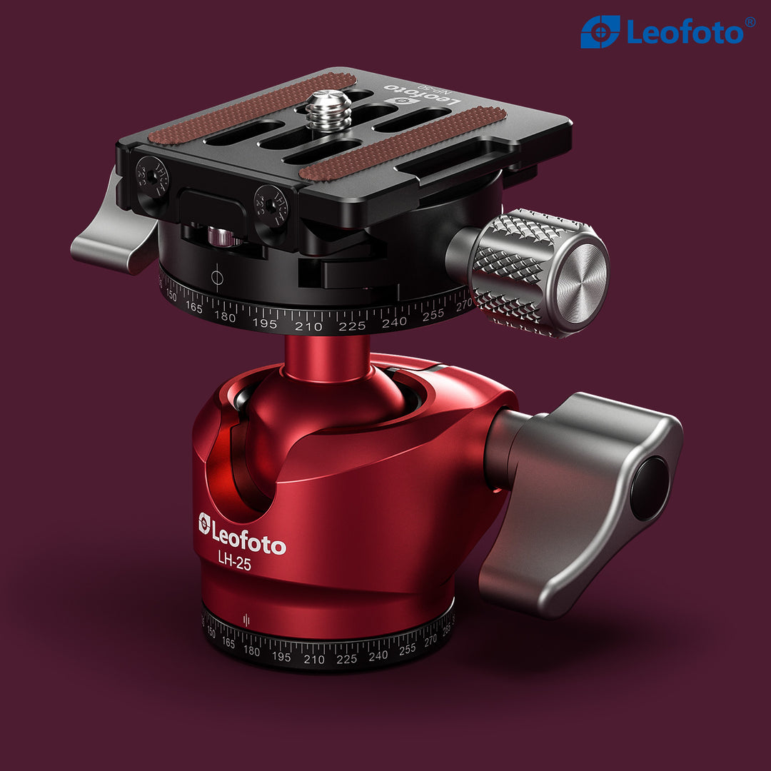 Leofoto LY-224C + LH-25 Carbon Fiber Tripod Kit