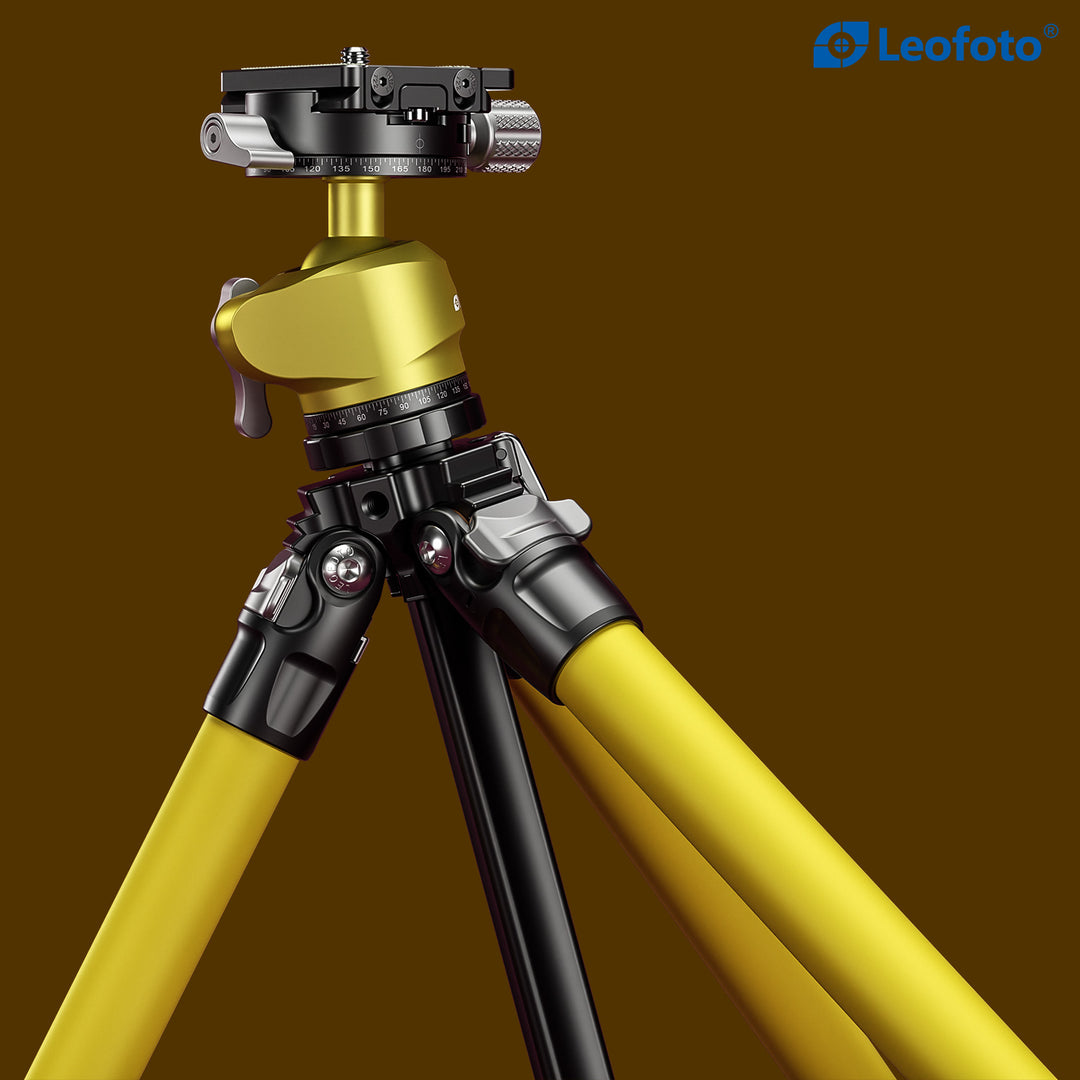 Leofoto LY-224C + LH-25 Carbon Fiber Tripod Kit