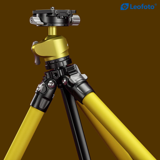 Leofoto LY-224C + LH-25 Carbon Fiber Tripod Kit