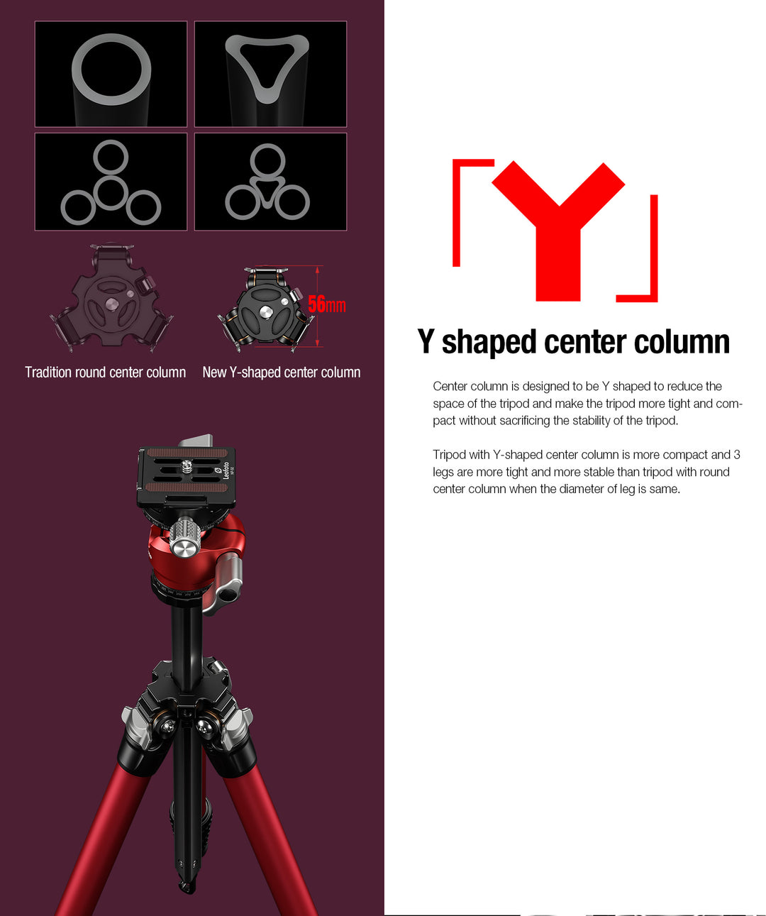 Leofoto LY-224C + LH-25 Carbon Fiber Tripod Kit