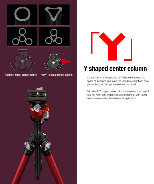 Leofoto LY-224C + LH-25 Carbon Fiber Tripod Kit