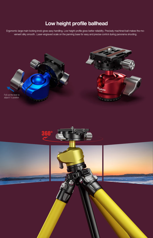 Leofoto LY-224C + LH-25 Carbon Fiber Tripod Kit