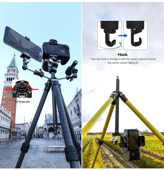 Leofoto LY-224C + LH-25 Carbon Fiber Tripod Kit