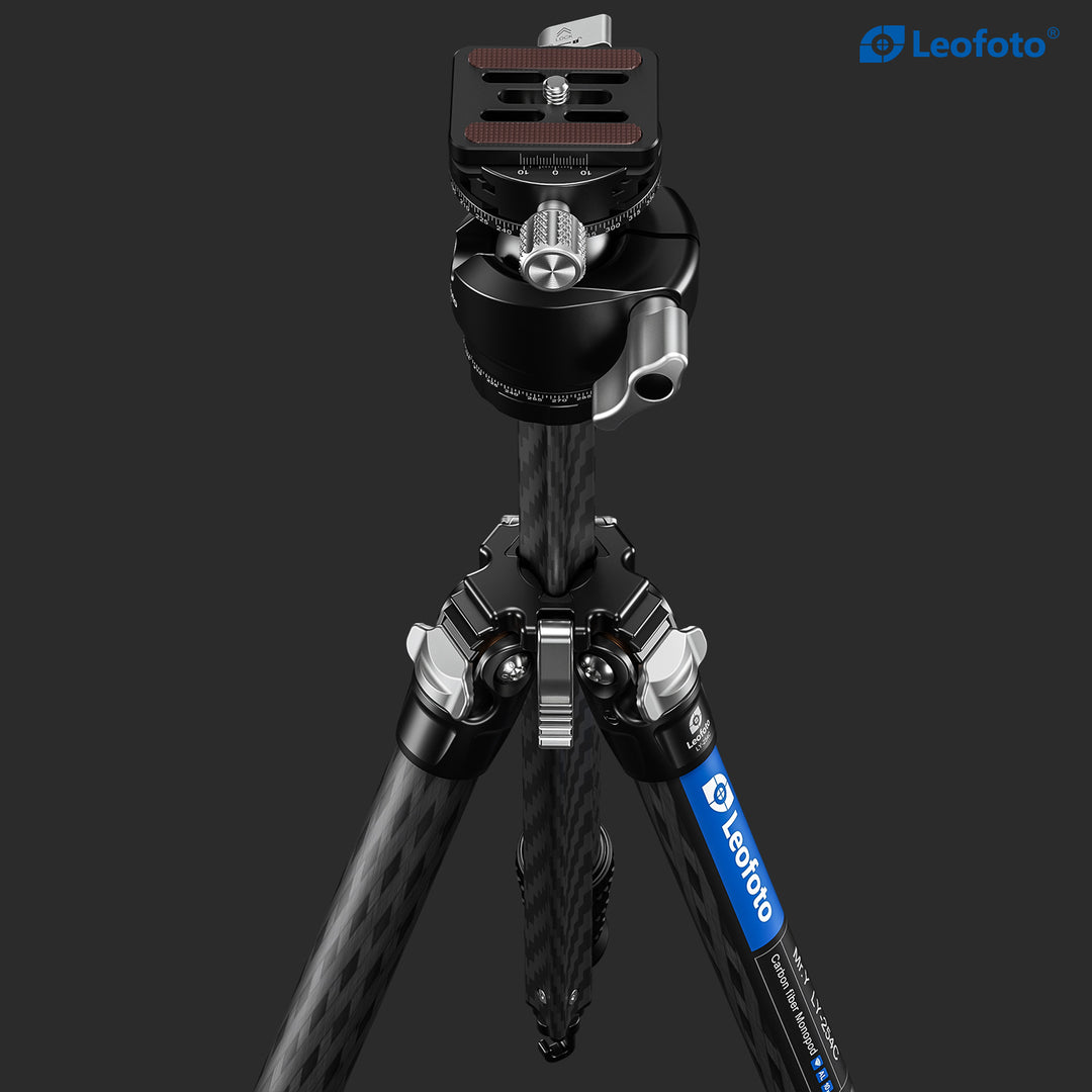 Leofoto LY-224C + LH-25 Carbon Fiber Tripod Kit