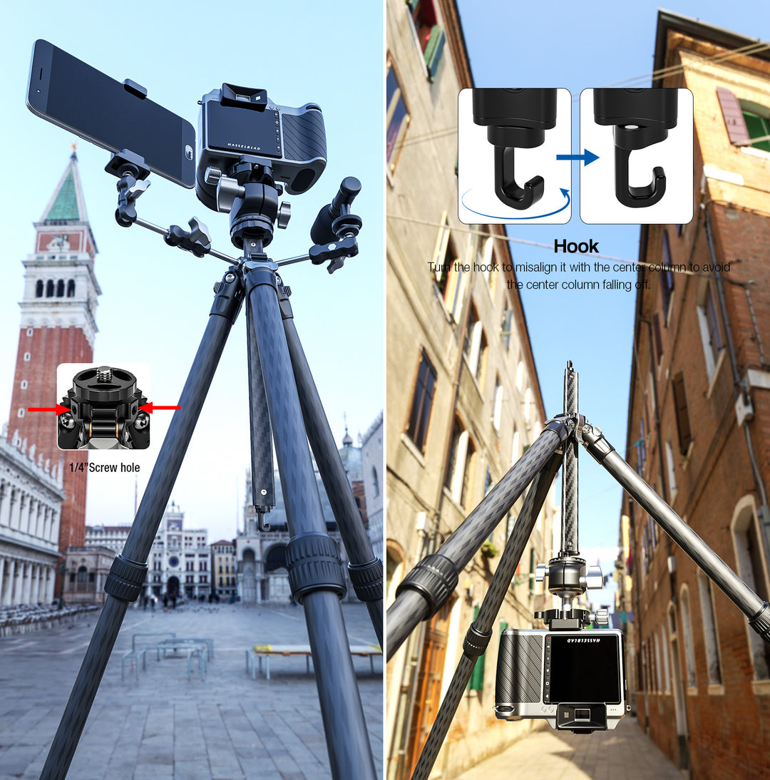 Leofoto LY-254C + LH-30 Carbon Fiber Tripod Kit