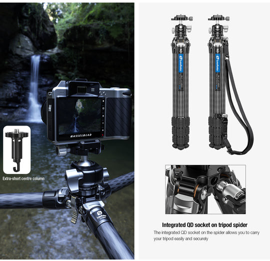 Leofoto LY-284C + LH-30 Carbon Fiber Tripod Kit