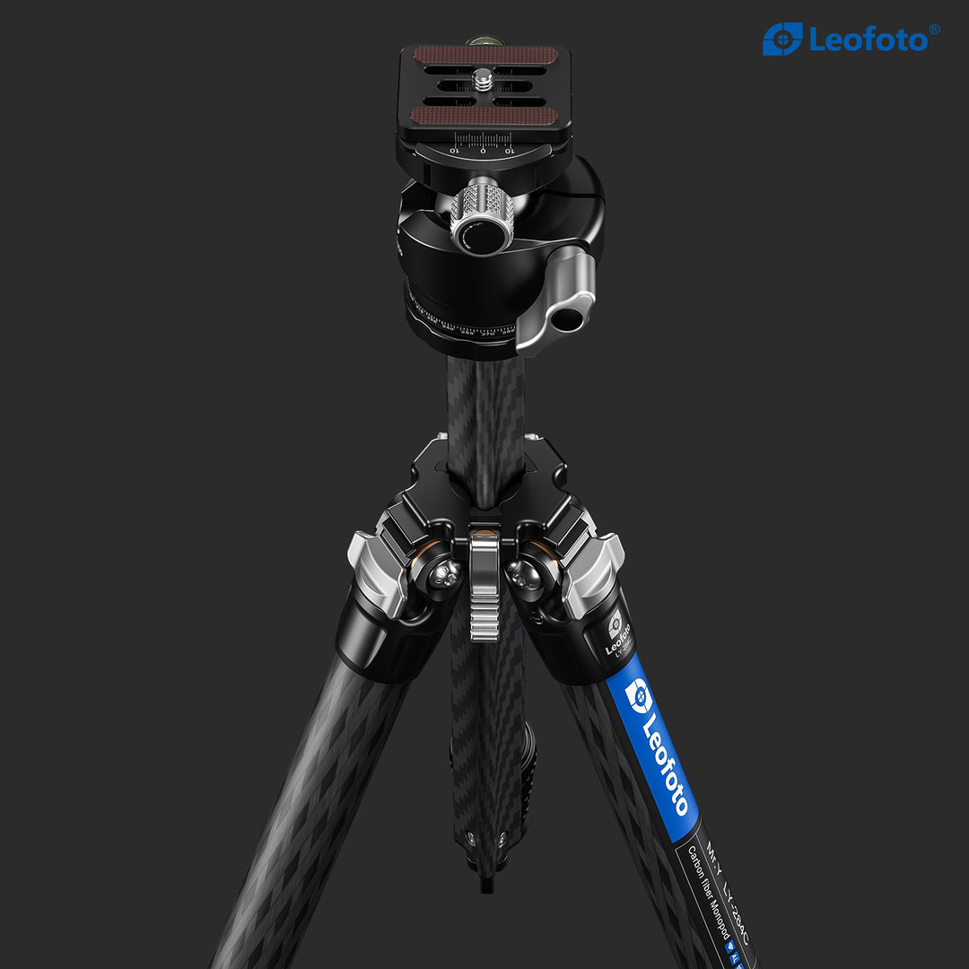 Leofoto LY-284C + LH-30 Carbon Fiber Tripod Kit
