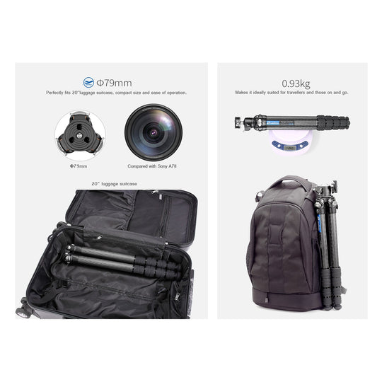 Leofoto Ranger LS-255C + LH-30 Carbon Fiber Tripod Kit-