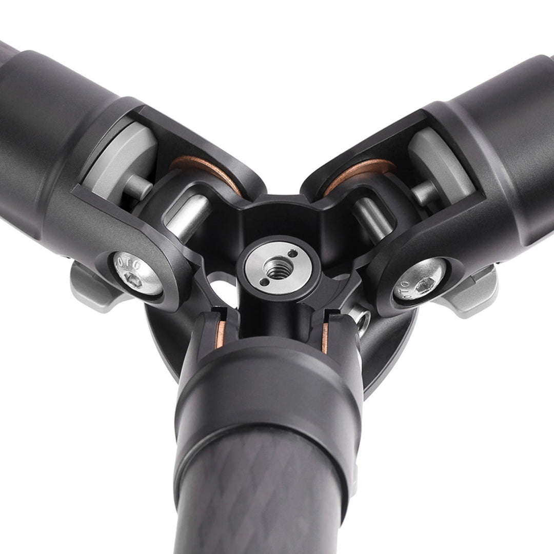 Leofoto Ranger LS-255C + LH-30 Carbon Fiber Tripod Kit-