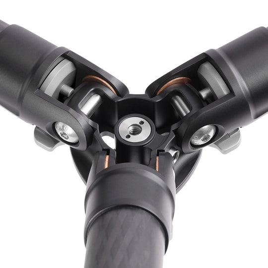 Leofoto Ranger LS-255C + LH-30 Carbon Fiber Tripod Kit-