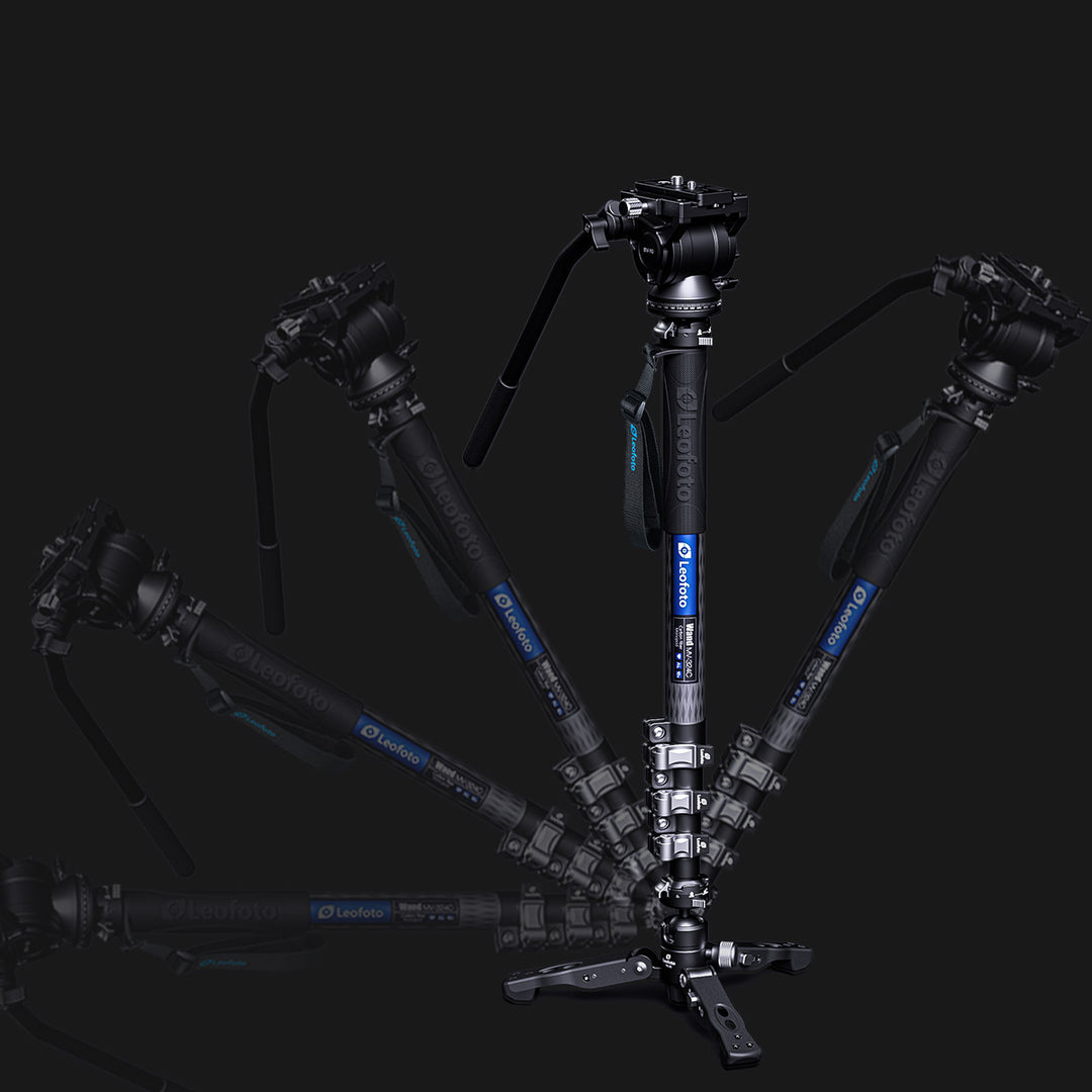 Leofoto MV-324C + VD-03 Video Monopod Kit