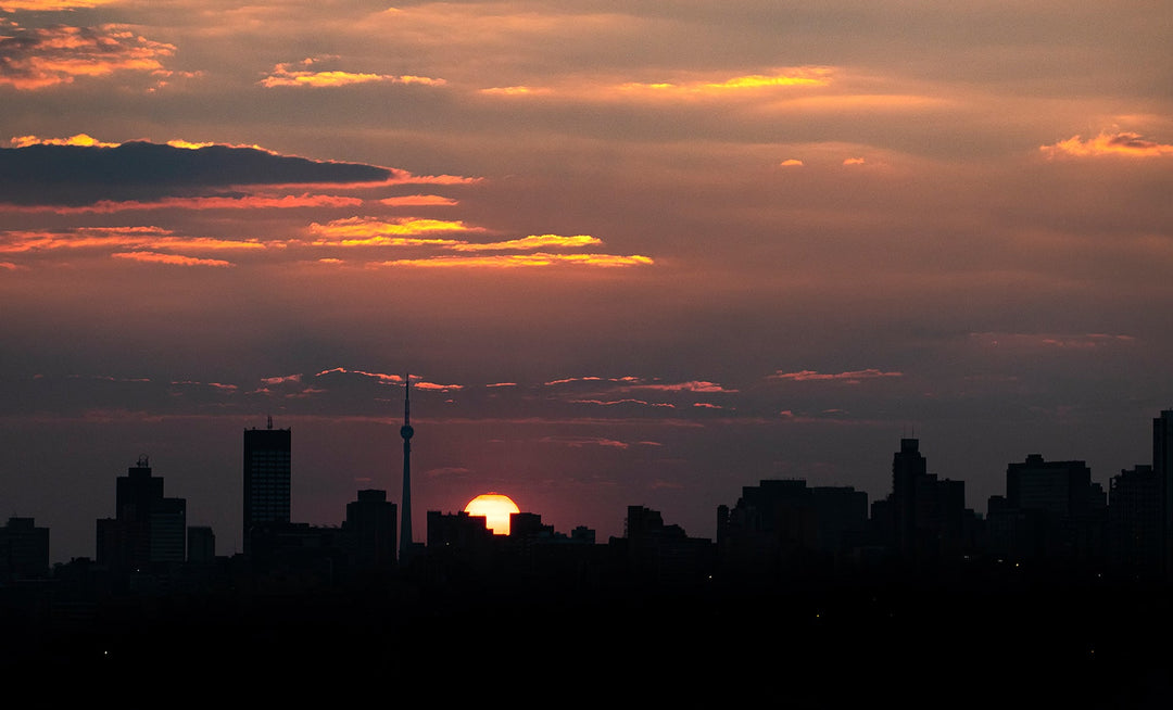 Mini Workshop - Sunday 6th February Johannesburg Koppie Sunset with Clare Appleyard-