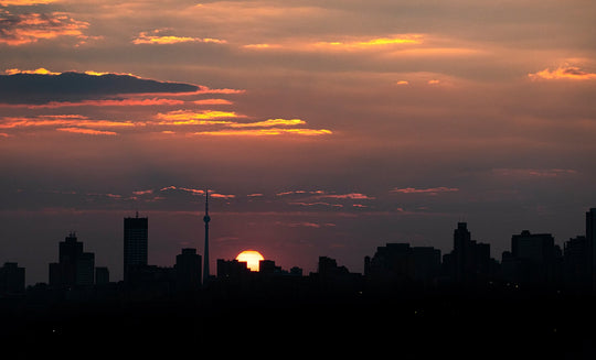 Mini Workshop - Sunday 6th February Johannesburg Koppie Sunset with Clare Appleyard-